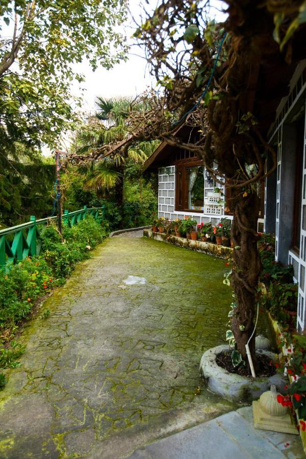 The Hive Cottage Nainital Buitenkant foto